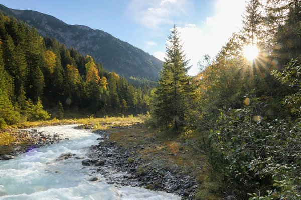 Ein Wildbach in den Bergen