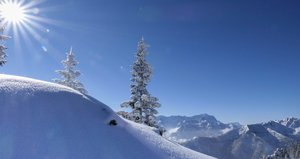 Tief verschneite Winterlandschaft mit einzelnen schneebedeckten Tannen im Vordergrund und Bergen im Hintergrund.