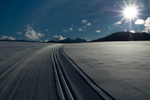 Eine frisch preparierte Loipe bei traumhaftem Sonnenschein.