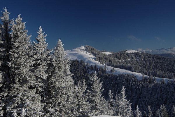 Verschneite Berge und Wälder. Auf einem Gipfel ist ein Gipfelkreuz zu sehen.