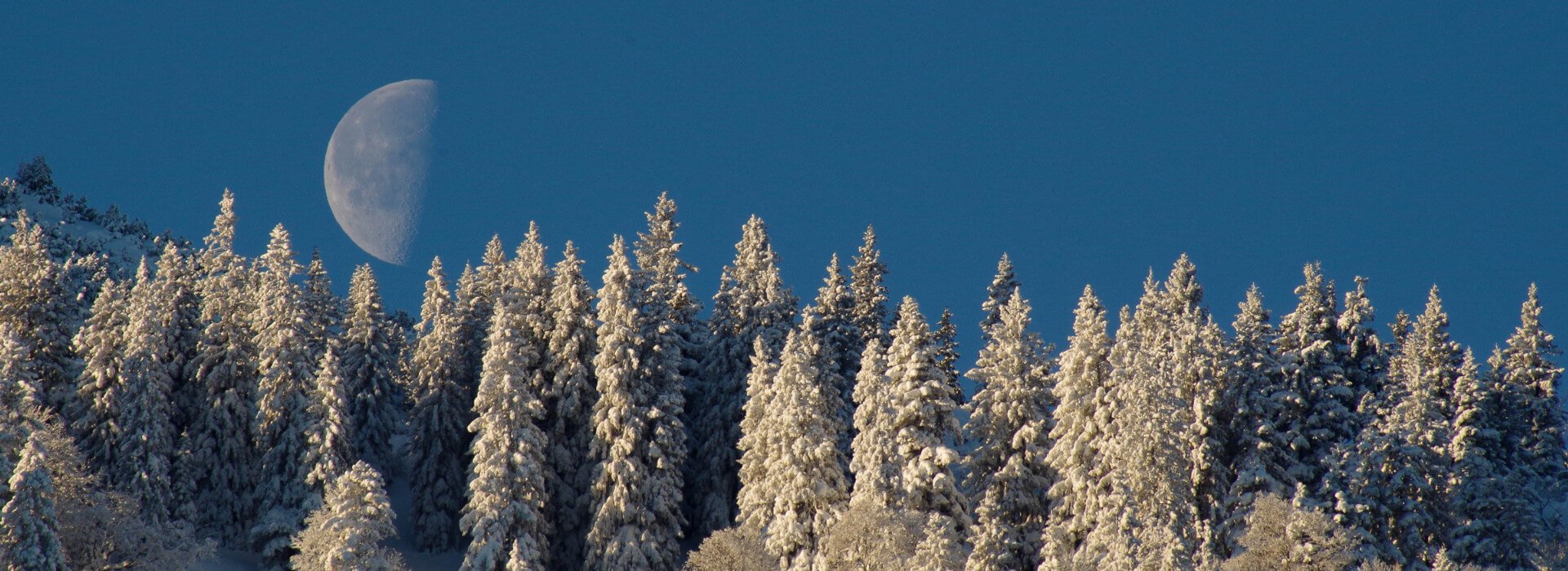 Ein großer Mond geht über einem tief verschneiten Wald auf.