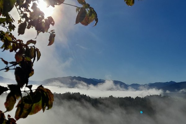 Blick über das Nebelmeer